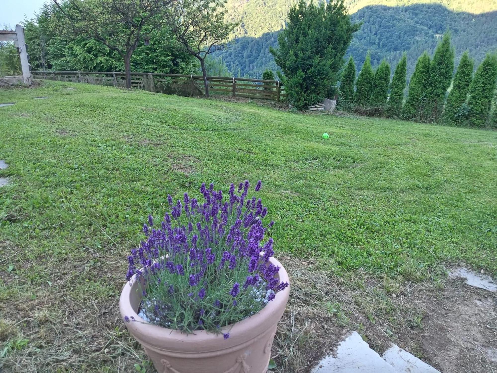 Cima 12 Valle Di Sella Holiday home *